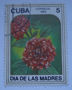 Image #1 of 5 Centavos 1985 - Dahlia (Mother's Day)