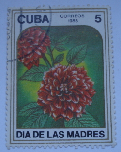 Image #2 of 5 Centavos 1985 - Dahlia (Mother's Day)
