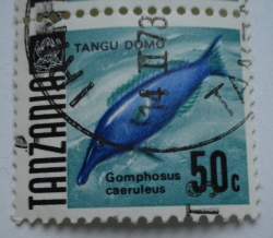 50 Cents 1967 - Green Birdmouth Wrasse (Gomphosus caeruleus)