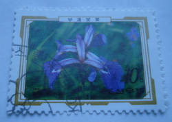 10 Chon 1989 - Iris setosa