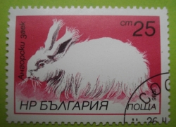 25 Stotinki - Angora Rabbit