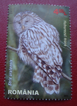 4.50 Lei 2013 - Ural Owl (Strix uralensis)