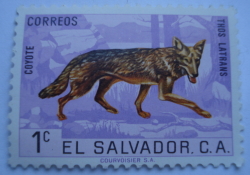 Image #1 of 1 Centavo - Coyote (Canis latrans)