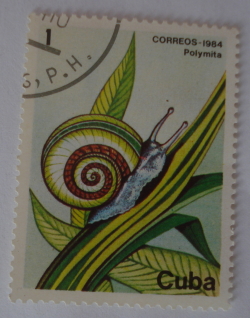 1 Centavo 1984 - Melc de pământ cubanez (Polymita picta)