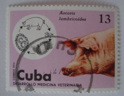 13 Centavos 1975 - Vierme rotund uriaș (Ascaris lumbricoides), Porc