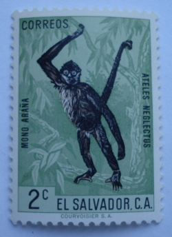 Image #1 of 2 Centavos - Black-handed Spider Monkey (Ateles geoffroyi ssp.neglectus)
