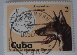 Image #1 of 2 Centavos 1975 - Hookworm (Ancylostoma caninum), Dog (Canis lupus familiaris)