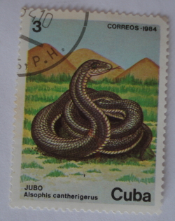 Image #1 of 3 Centavos 1984 - Cuban Racer (Alsophis cantherigerus)