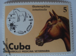 Image #1 of 5 Centavos 1975 - Musca bot de cal (Gasterophilus intestinalis)