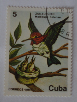 Image #1 of 5 Centavos 1984 - Bee Hummingbird (Mellisuga helenae)