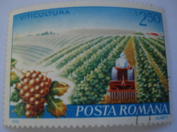 Image #1 of 2.50 Lei - Viticultura