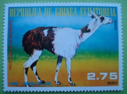 2.75 Ekuele - Llama