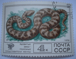 4 Kopeks 1977 - Levantine Viper (Vipera lebetina)