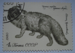 Image #1 of 4 Kopeks 1980 - Arctic Fox (Alopex lagopus)