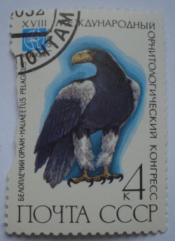 Image #1 of 4 Kopeici 1982 - Vulturul de mare al lui Steller (Haliaeetus pelagicus)