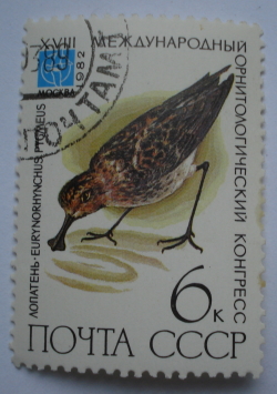 Image #1 of 6 Kopeici 1982 - Cârpășor cu lingura (Ceutorhynchus pygmaeus)