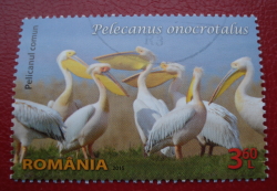 3.60 Lei 2015 - Great White Pelican (Pelecanus onocrotalus)