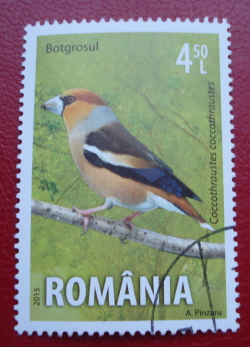 4.50 Lei 2015 - Hawfinch (Coccothraustes coccothraustes)