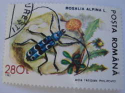 Image #1 of 280 Lei - Alpine longhorn beetle (Rosalia alpina)