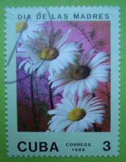 Image #1 of 3 Centavos - Mother Day - Daisy