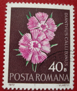 40 Bani 1972 - Dianthus Callizonus