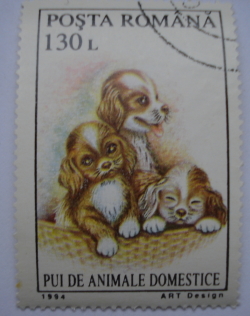 130 Lei 1994 - Pui de animale domestice