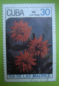 Image #1 of 30 Centavos - Mother Day - Dahlia