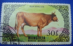 30 Mongo - Bor Khaliun