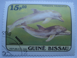 Image #1 of 15 Pesos 1984 - Common Bottlenose Dolphin (Tursiops truncatus)