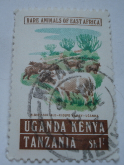1 Shilling 1975 - Albino African Buffalo (Syncerus caffer) – Kidepo Valley