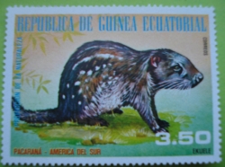 Image #1 of 3.50 Ekuele - Pacarana