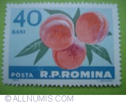 Image #1 of 40 Bani - Peaches