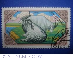40 Mongo - Goat