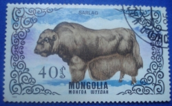 40 Mongo - Sarlag