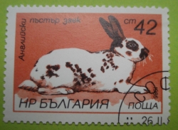 Image #1 of 42 Stotinki - English Bunny