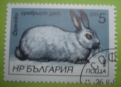 Image #1 of 5 Stotinki - French Silver Rabbit