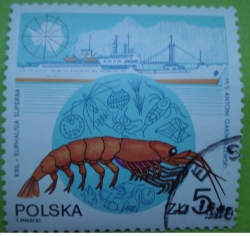 Image #1 of 5 Złotych 1987 - Kril (Euphausia superba), cargobotul Antoni Garnuszew