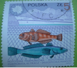 Image #1 of 5 Złotych 1987 - Notothenia rossi, Dissostichus mawsoni, Zulawy transoceanic ship