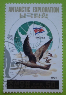 Image #1 of 50 Chon - Antarctic exploration - Black-backed Gulls