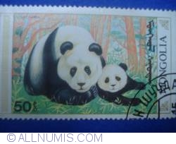 50 Mongo - Giant Panda