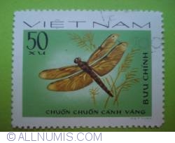 50 Xu - chuon chuon canh vang