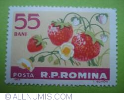 Image #1 of 55 Bani - Strawberries
