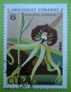 Image #1 of 6 Centavos - Orchids - Epidendrum Cochleatum