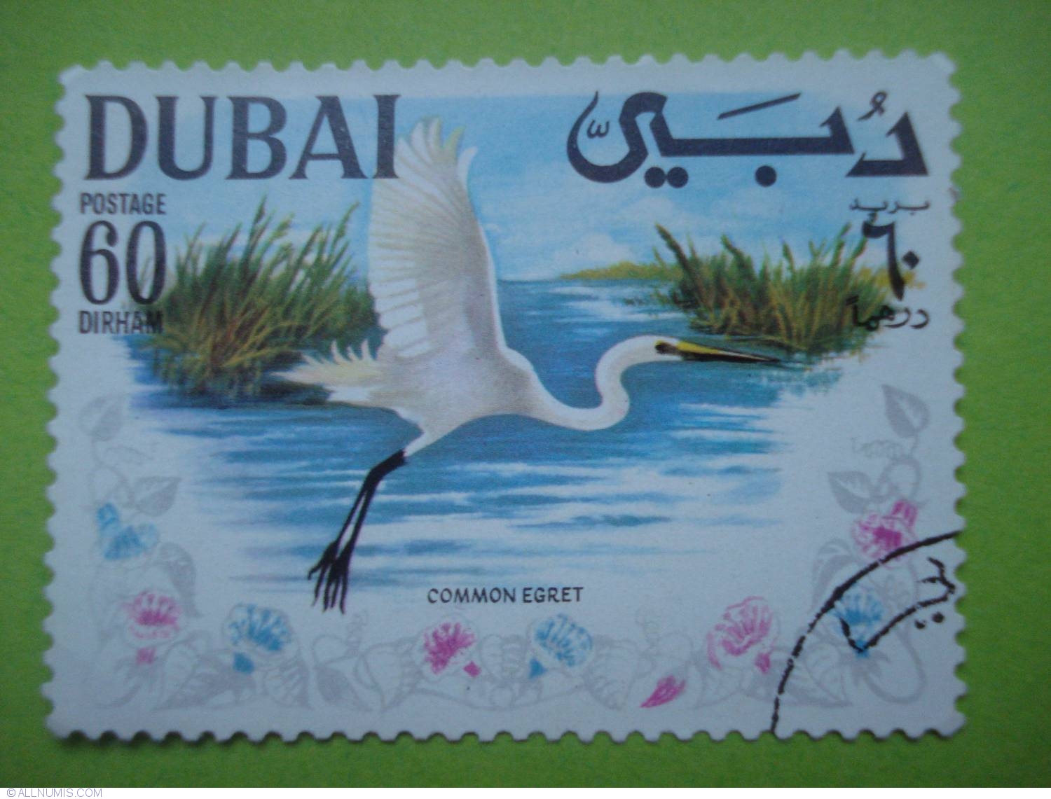 60-dirham-common-egret-birds-dubai-uae-stamp-29673