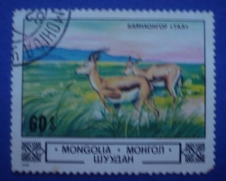 60 Mongo - Antelope