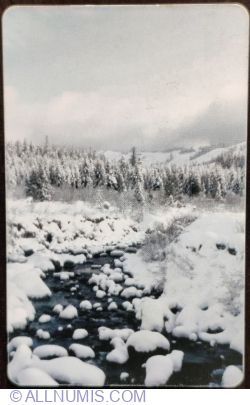 Image #2 of Winter (3)