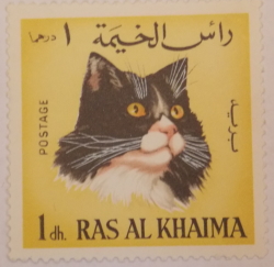 Image #1 of 1 Dirham - Cat