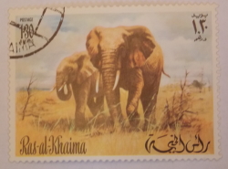 Image #1 of 1.3 Riyal - African Elephant