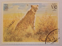 1.15 Riyals - Cheetah