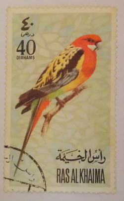 Image #1 of 40 Dirhams - Parrot